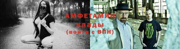 амф Аркадак