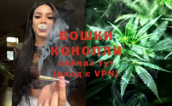 mdpv Арсеньев