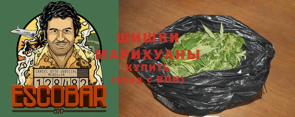 амф Аркадак