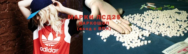 амф Аркадак