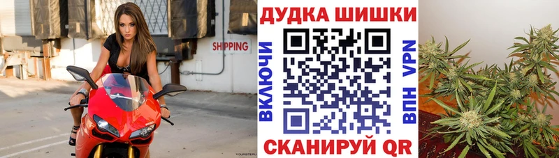 Конопля сатива  Каневская 